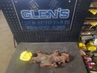Driver Left Exhaust Manifold 3.4L Fits 05-09 Equinox 525230 Used. Price: $98.03.