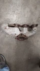 Exhaust Manifold Gm 3.8L Rear For Buick Pontiac Series Engine Used. Price: $44.00.