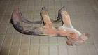 Exhaust Manifold 4.0L Front Fits 00-06 Wrangler 596904 Used. Price: $65.00.