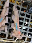 Right Exhaust Manifold Oem 09-23 Dodge Challenge 1YR Wrnty Used. Price: $65.00.