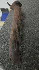 99 04 Ford Expedition Right Passenger Exhaust Manifold 8-330 5.4L Used. Price: $35.00.