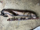 2008-2012 Audi S5 4.2 Exhaust Manifold Left Oem Used. Price: $45.00.