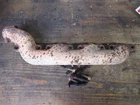 99 00 01 02 03 Ford F250 F350 7.3 Powerstroke Driver Left Side Exhaust Manifold Used. Price: $44.04.