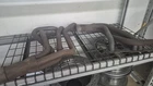 Dynatech Sbc Headers 1" 1/4 Primaries 3" Exit Rusty Crack As Is Needs To Be Weld For. Price: $225.00.