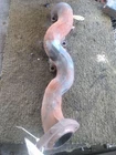Passenger Exhaust Manifold 3.0L Gasoline Fits 14-19 Range Rover Sport 1008468 Used. Price: $129.90.