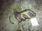 96-99 Oldsmobile Aurora Left Driver Front Exhaust Manifold 8-244 4.0 Liter Used. Price: $59.40.