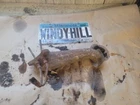 Saab 99 2.0 Gl Center Exaust Manifold 1251659 Q 7 Used. Price: $69.99.