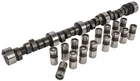 Jegs 200123 Hydraulic Flat Tappet Camshaft & Lifters New. Price: $287.99.