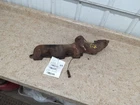 Passenger Exhaust Manifold 8-307 5.0L Fits 75-77 79-88 Cutlass 310633 Used. Price: $40.25.