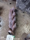 Right Exhaust Manifold Oem 11-14 Ford F150 1YR Wrnty Used. Price: $75.00.